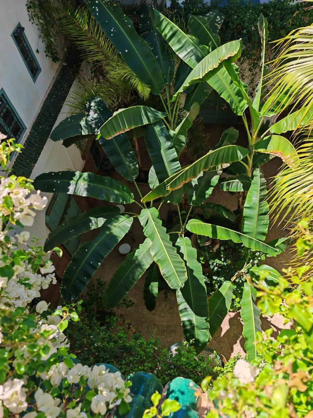 General view, Riad Dar Bounouar, Marrakech