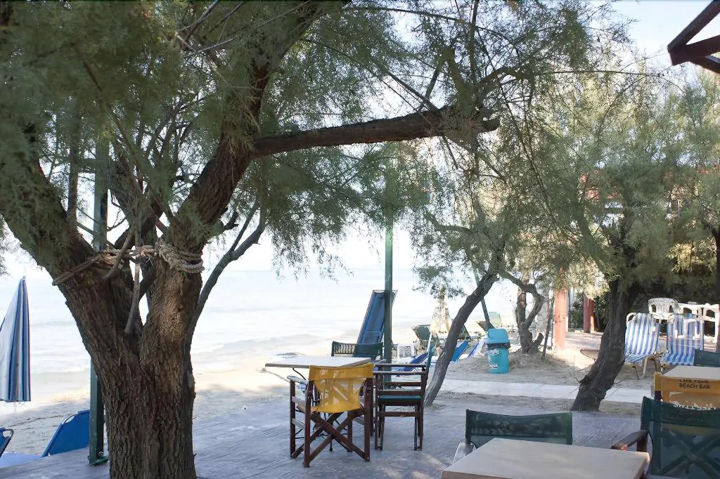 Restaurant, Anetis Beach Hotel, Zante