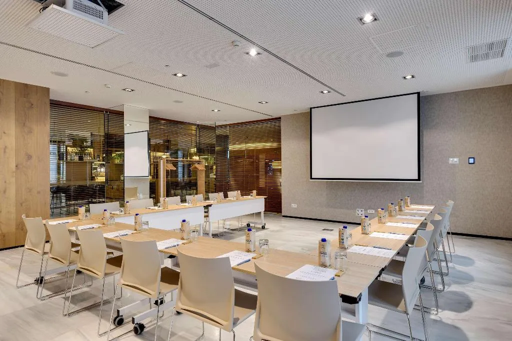 Conferences, Melia Madrid Serrano, Madrid
