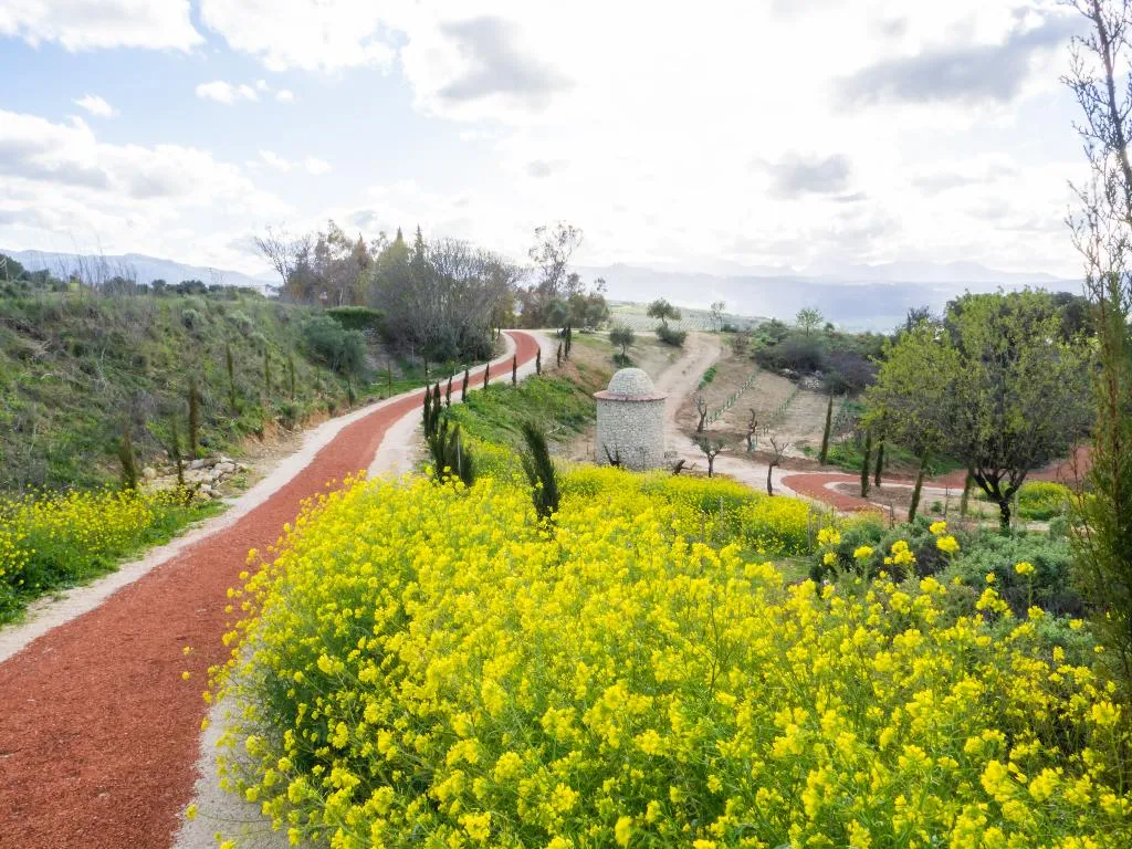 Sports and Entertainment, Cortijo La Organic, Costa Del Sol