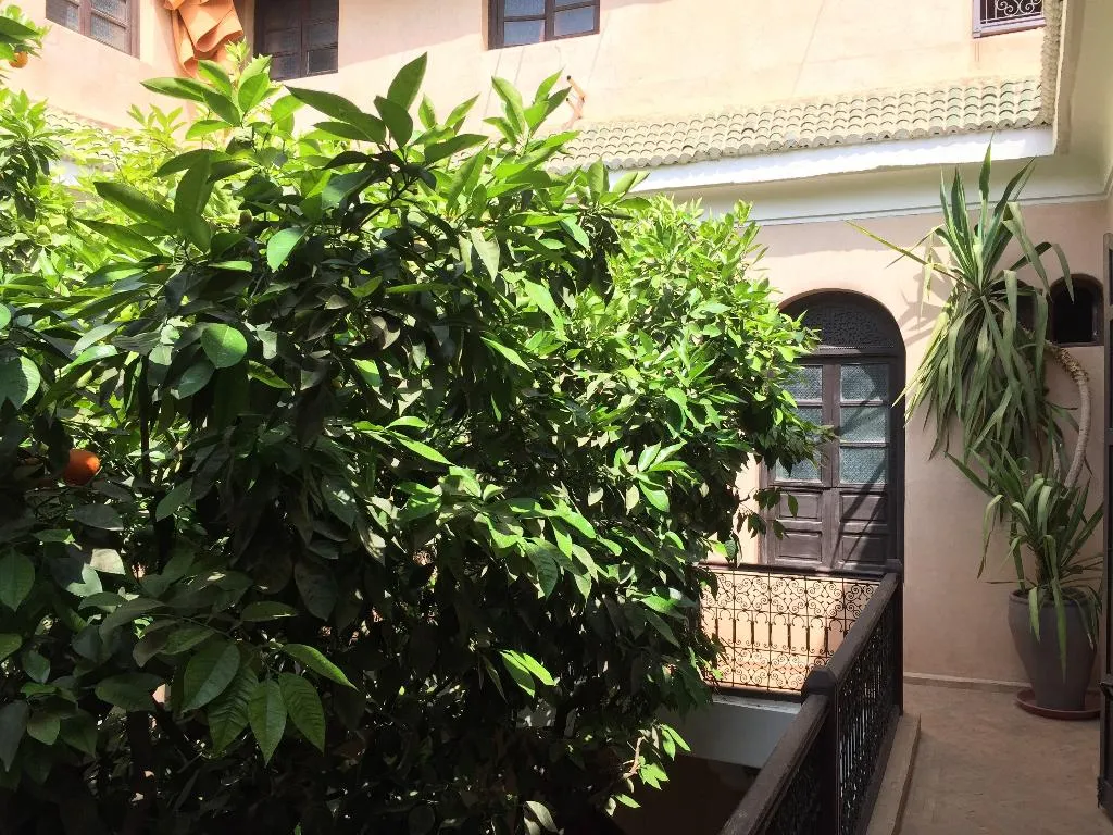 General view, Riad Dama, Marrakech