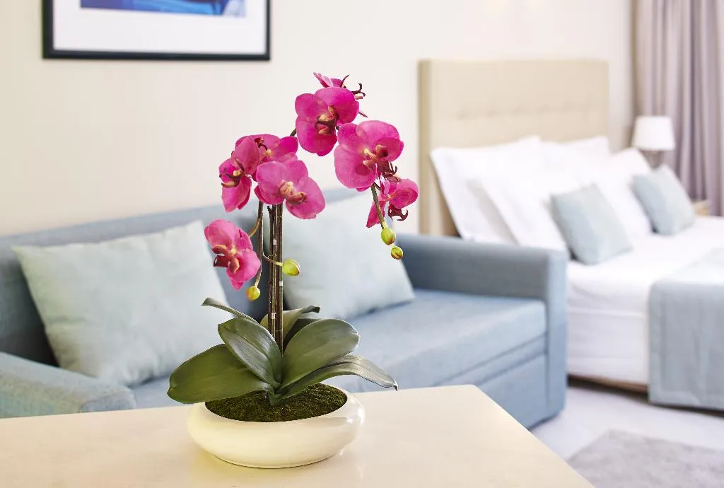 STUDIO CLASSIC Room, Luna Clube Oceano, Algarve