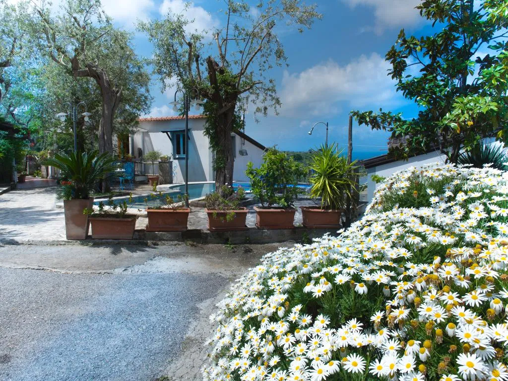 Pool, Villa Giovanna, Naples
