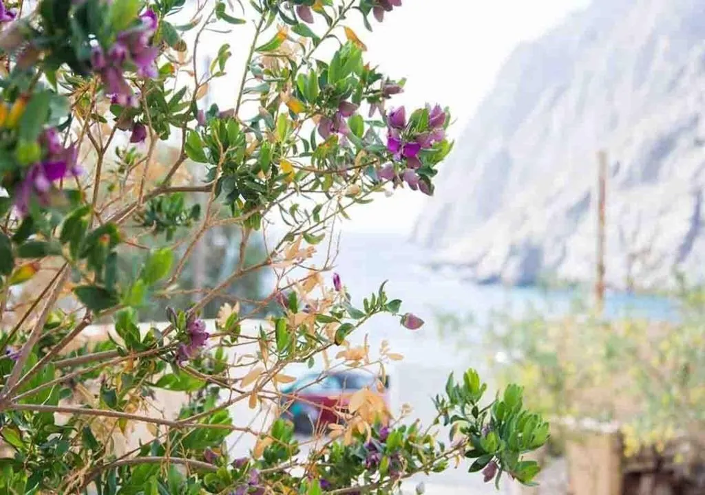 Terrace, Sail Inn, Santorini