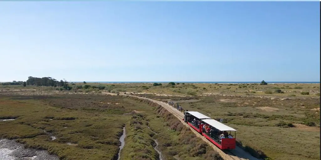 General view, Pedras del Rei, Algarve