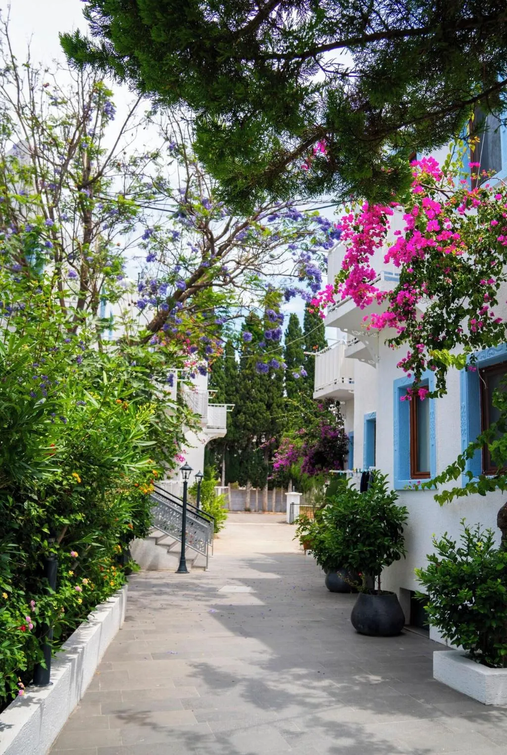 General view, Manuela Hotel, Bodrum