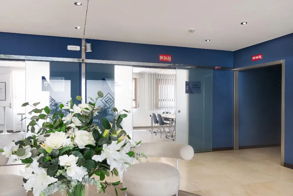 Conferences, Roisa Hostal Boutique, Madrid