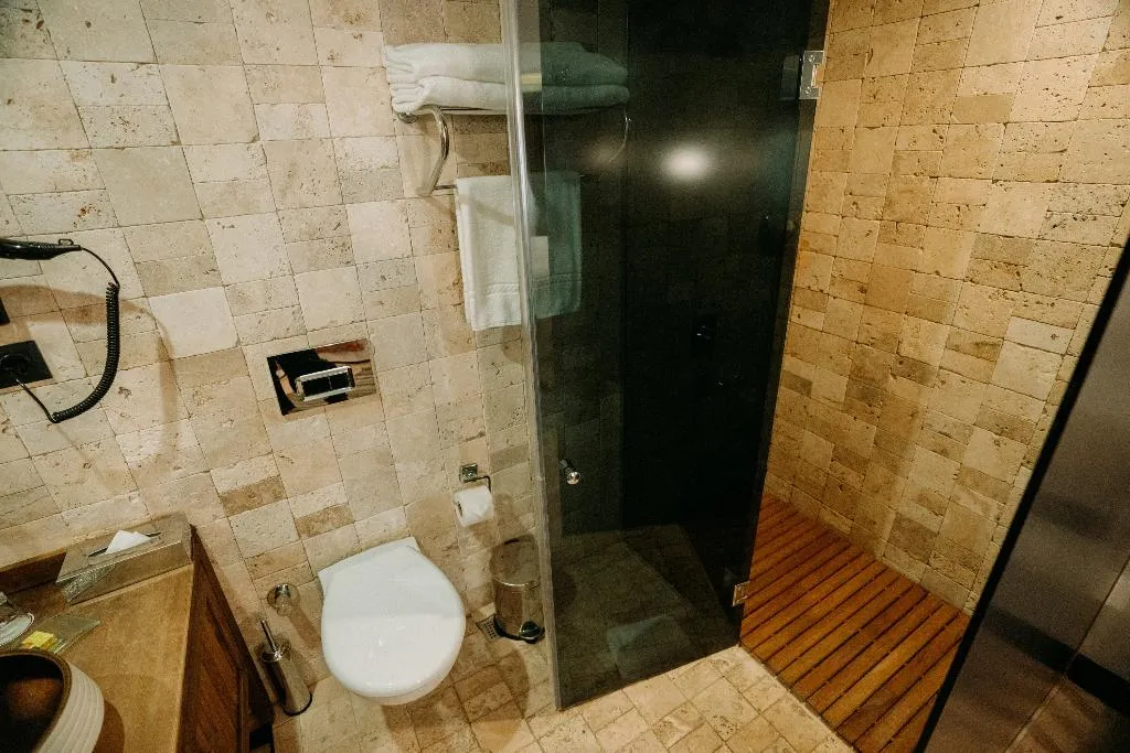 DOUBLE EXECUTIVE Room, Doors Urla Hotel, Izmir