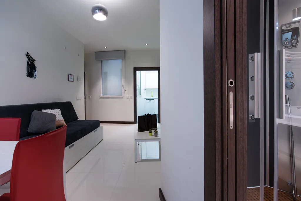 General view, Roisa Suites, Madrid