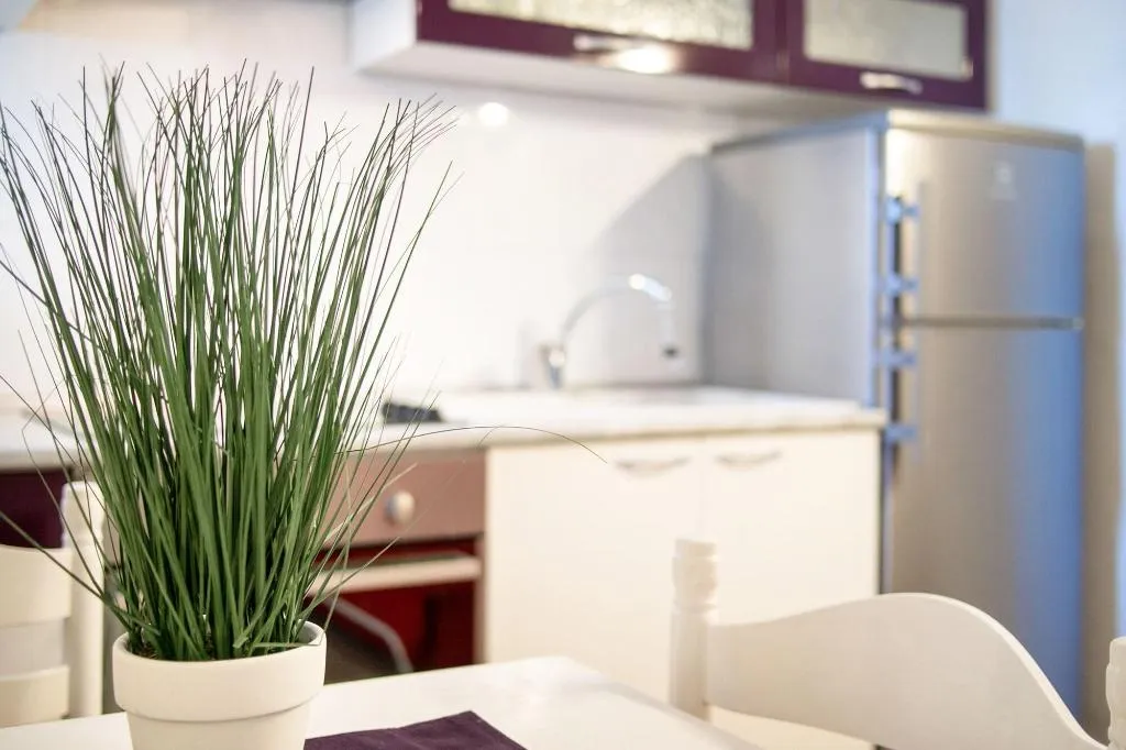 Room, Beachfront Apartmants Zanic, Split