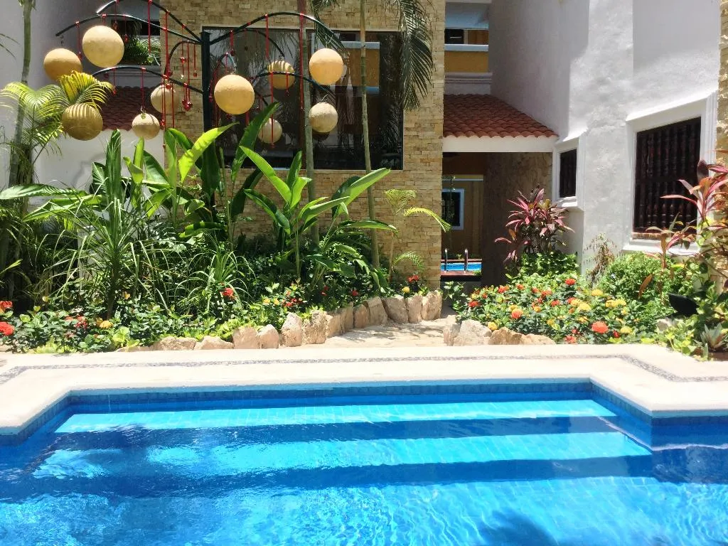 Pool, Las Golondrinas, Playa Del Carmen