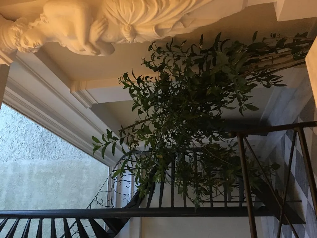 General view, Noble Suites, Athens