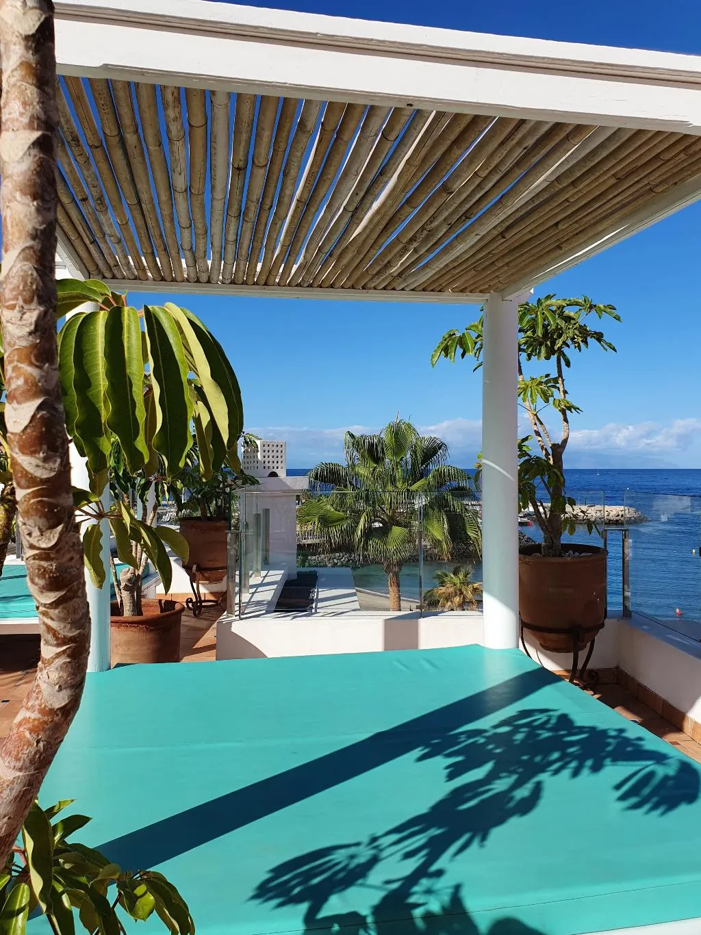 Pool, Flamingo Beach Mate, Tenerife