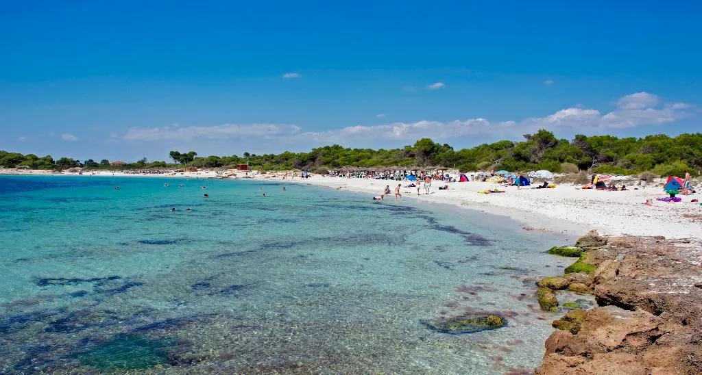 Beach, Aparthotel Isla de Cabrera, Majorca
