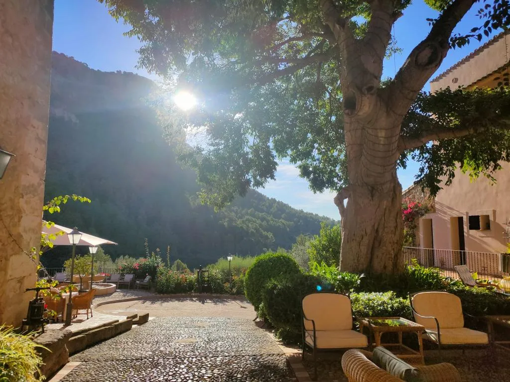 Terrace, Hotel Rural S'Olivaret, Majorca