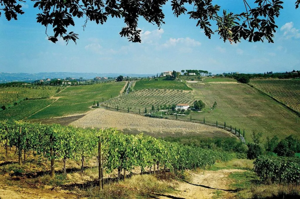 General view, Poderi Arcangelo Agriturismo Farmhouse, Florence