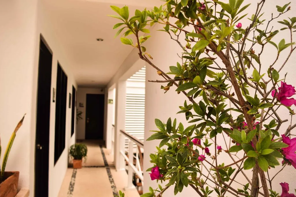 General view, Casa Ticul, Playa Del Carmen