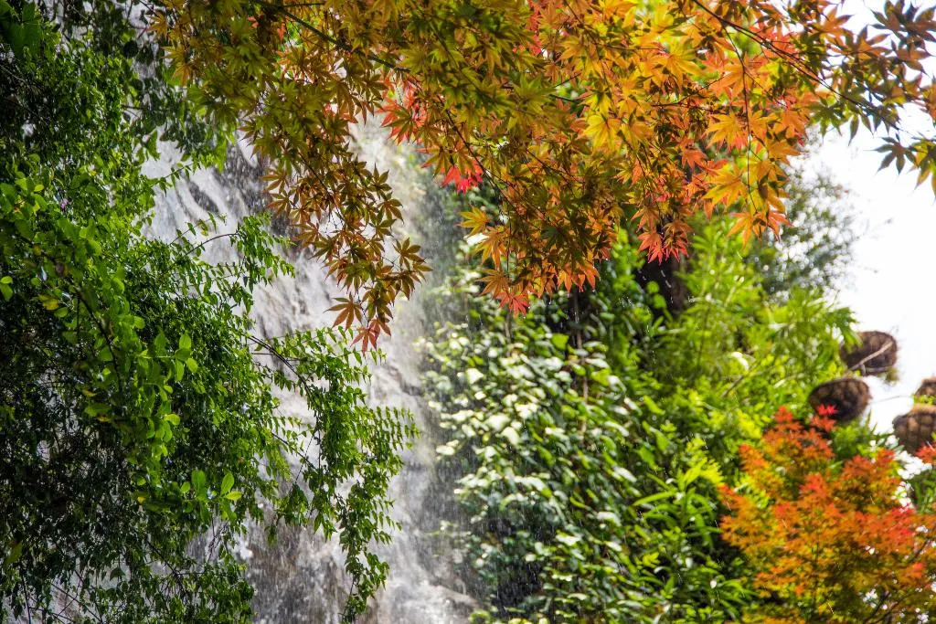 General view, Inhala Hotel Garden, Madrid
