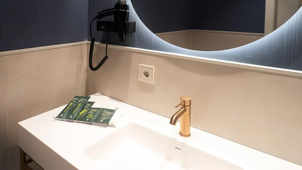 DOUBLE SINGLE USE WITH VIEWS Room, Sercotel Sevilla Don Luciano, Seville