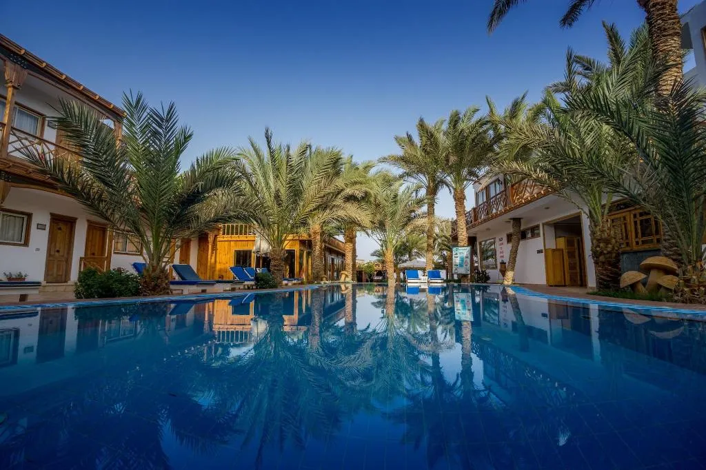 Sports and Entertainment, Acacia Dahab Hotel, Red Sea Riviera