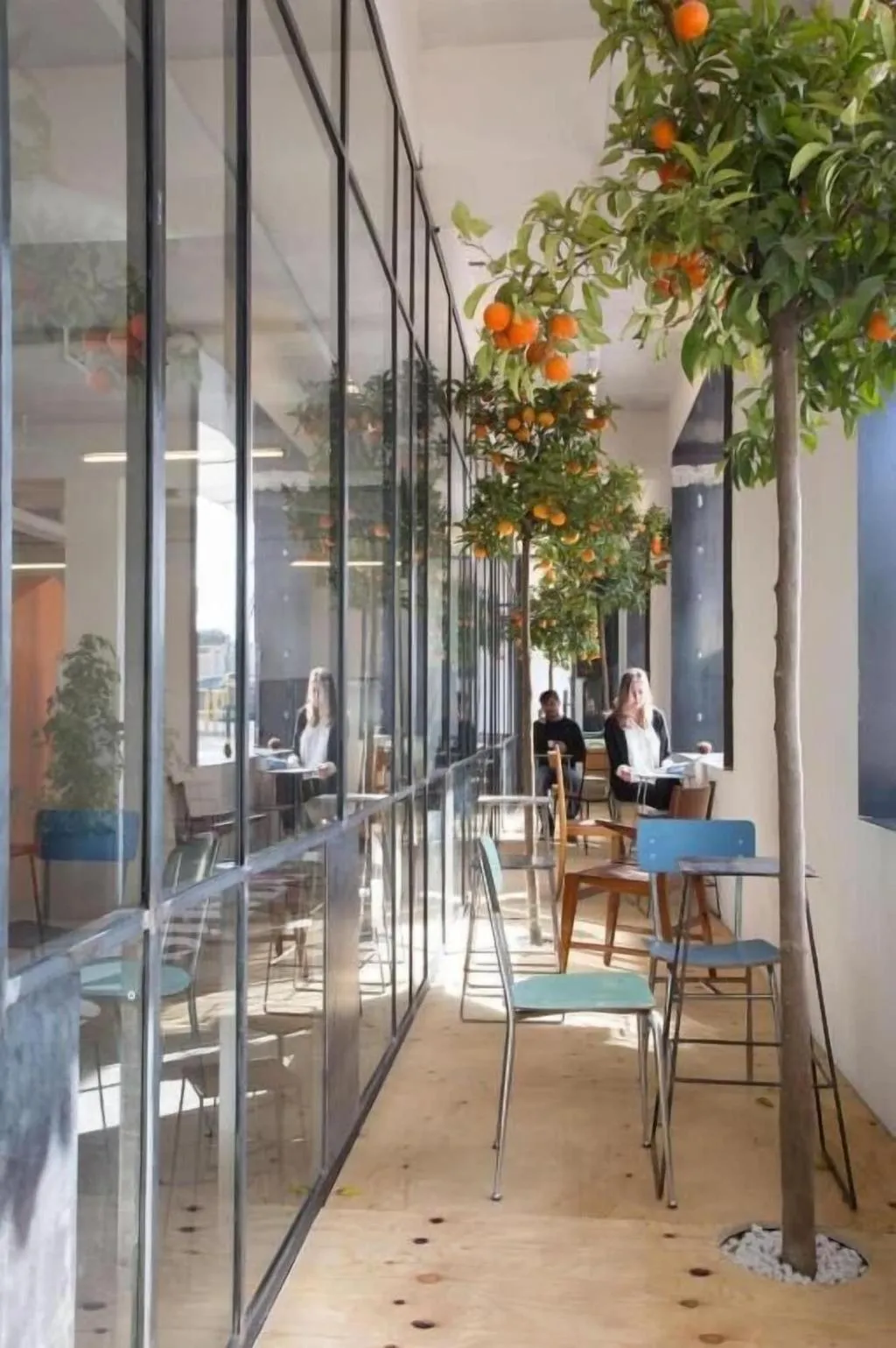 Restaurant, Bed and Boarding - Hostel, Naples