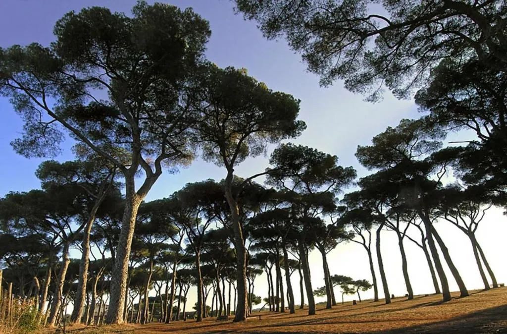 General view, Pinewood Hotel Rome, Rome
