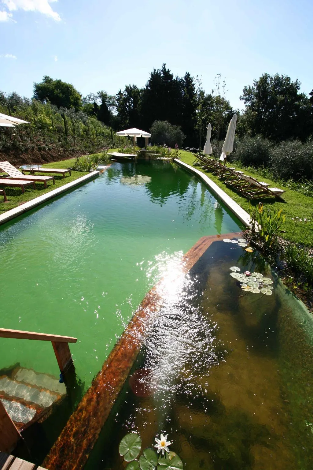 Pool, Il Paluffo, Florence