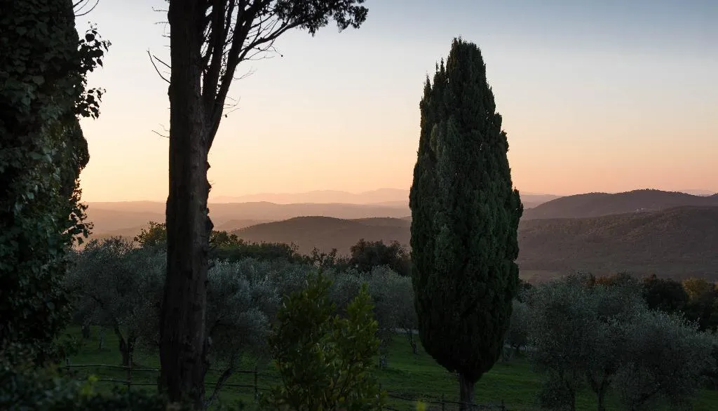 General view, Borgo Tenuta La Bandita, Florence