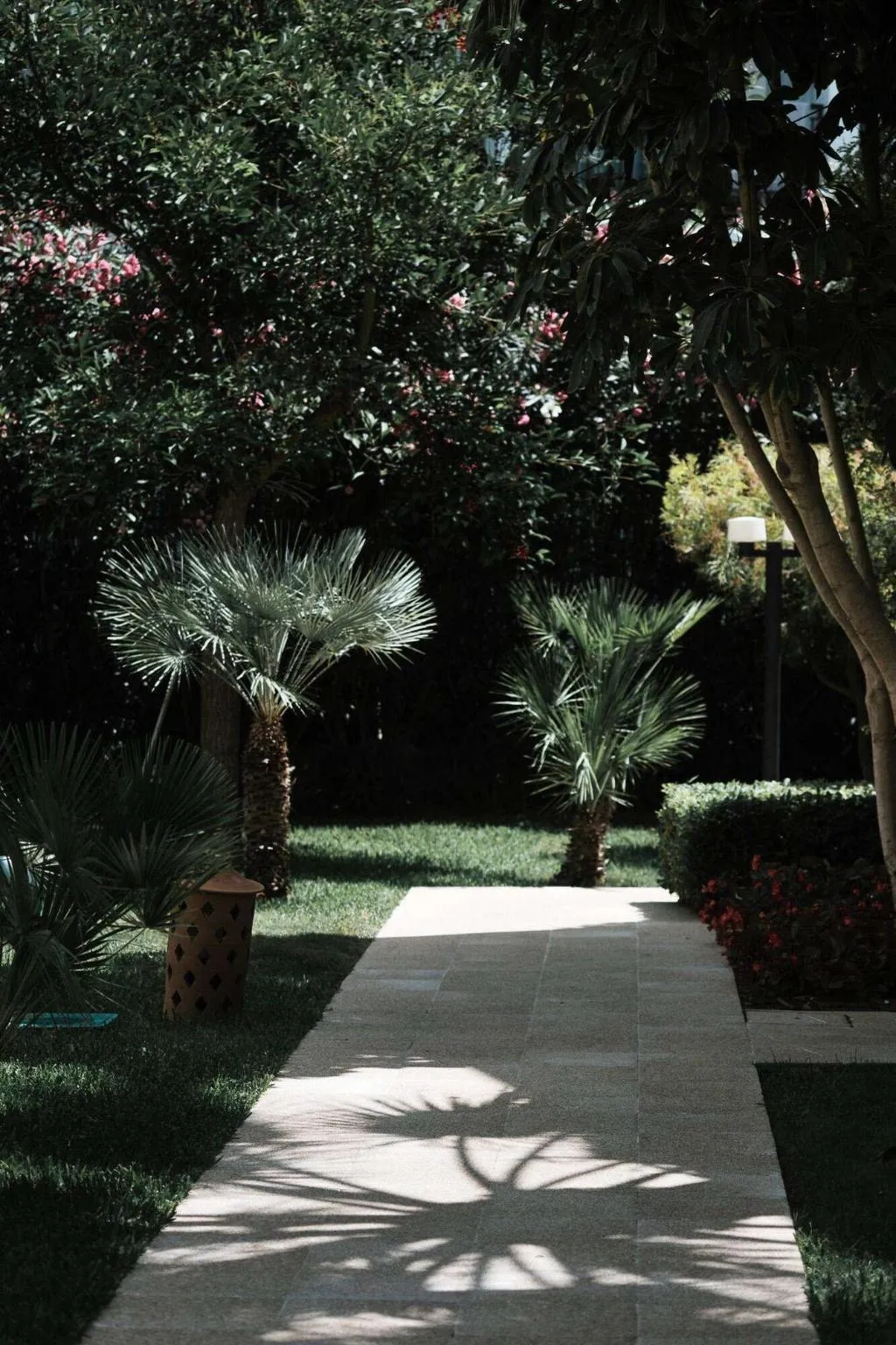 Terrace, Prinsotel Alba Hotel Apartamentos, Majorca