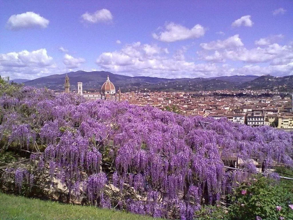 General view, Soggiorno Alessandra, Florence