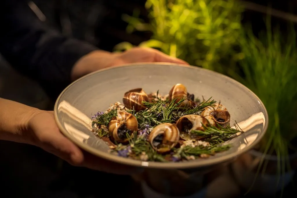 Restaurant, Adriatic Hotel by Maistra Collection, Istria