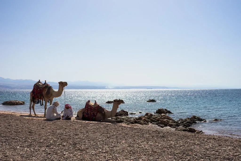 Beach, Movenpick Resort Taba, Red Sea Riviera