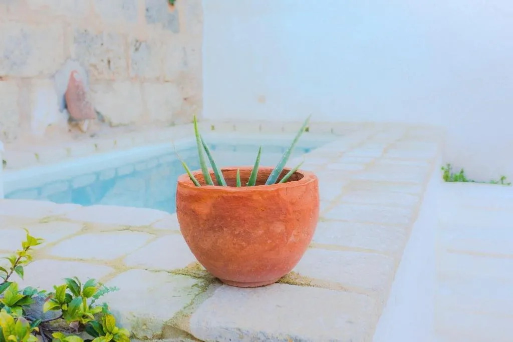General view, Coliving Add Livitum, Menorca