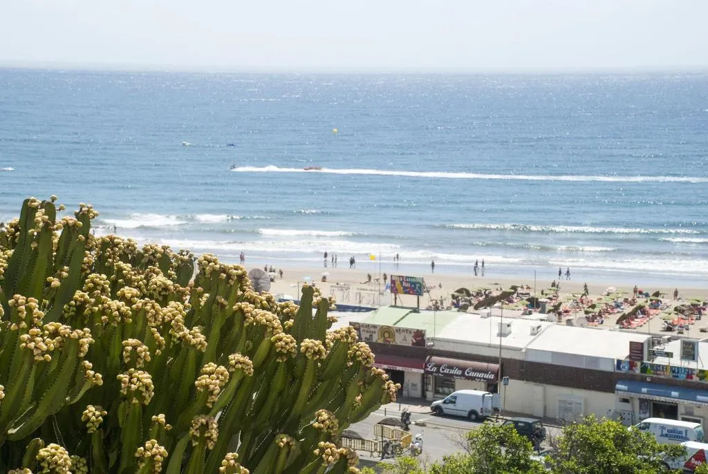 General view, El Paseo, Gran Canaria