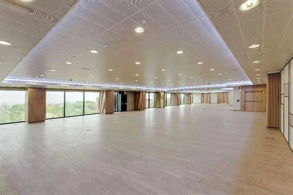Conferences, Melia Avenida America, Madrid