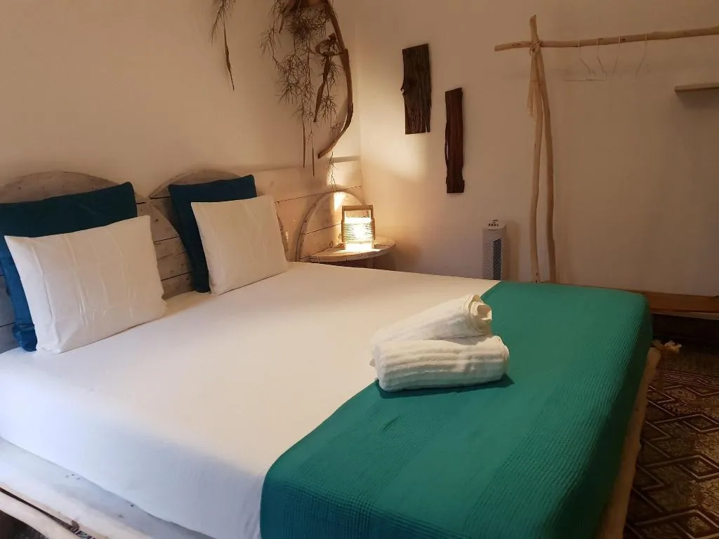 Room, Cactus Host, Gran Canaria