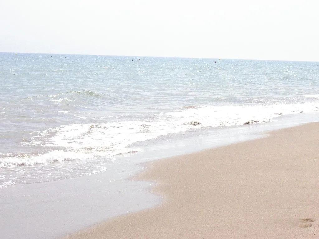 Beach, Masd Mediterraneo, Barcelona