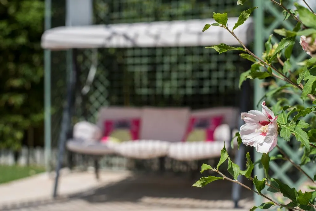 Terrace, The Charm of Cascais, Lisbon