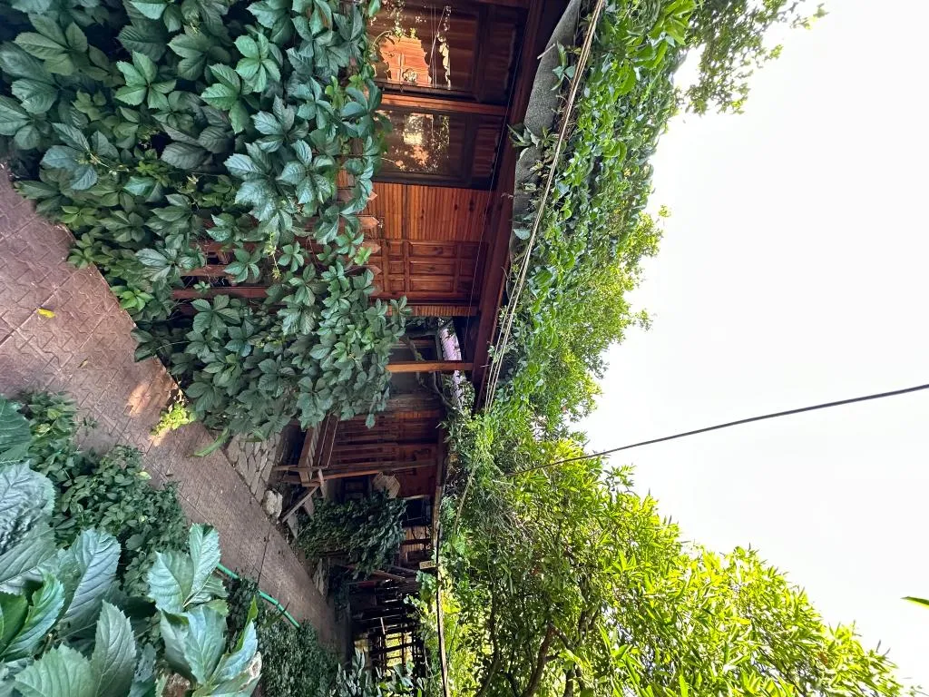 General view, Natural Pansiyon, Antalya