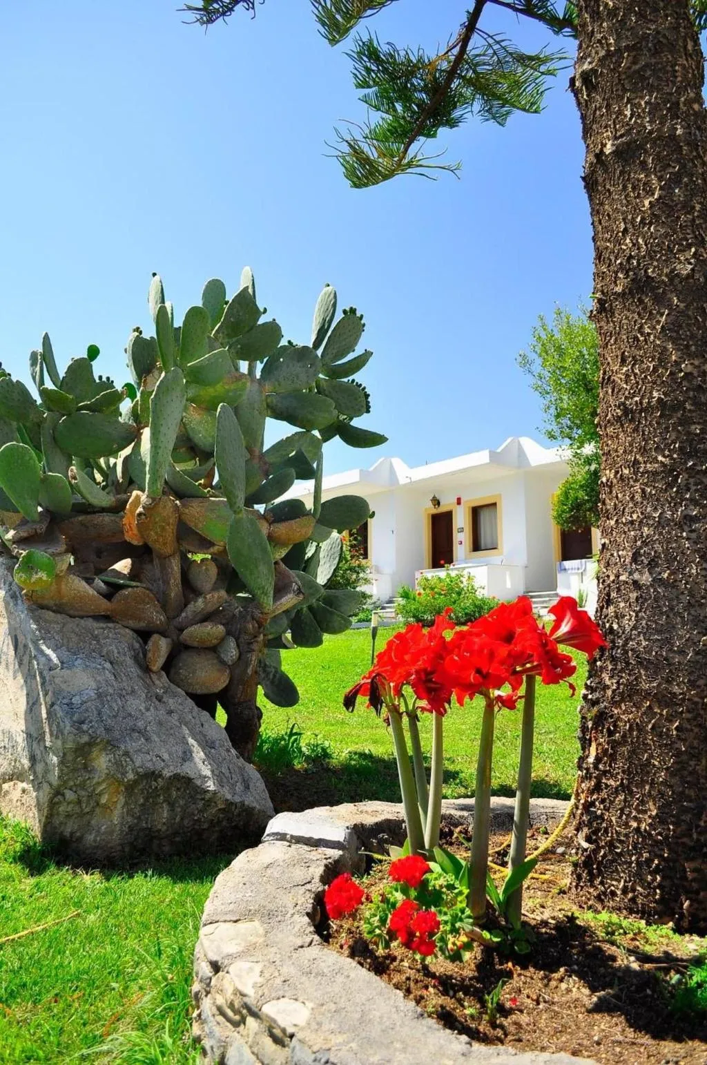 General view, Ampavris Family Apartments, Kos