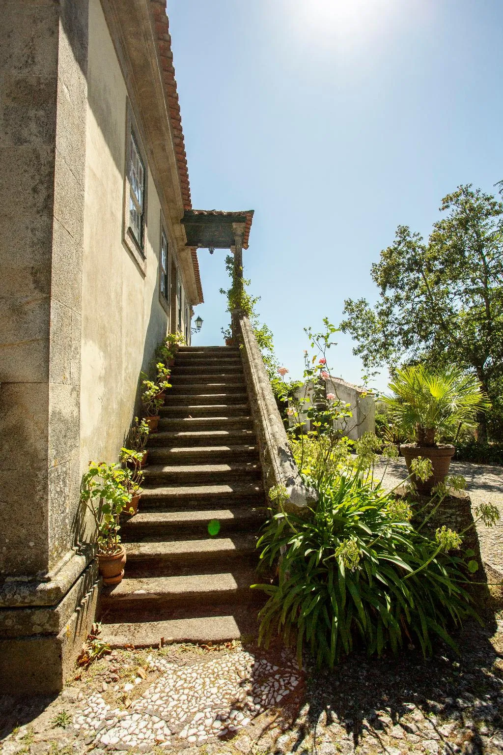 General view, Quinta De S. Caetano, Porto