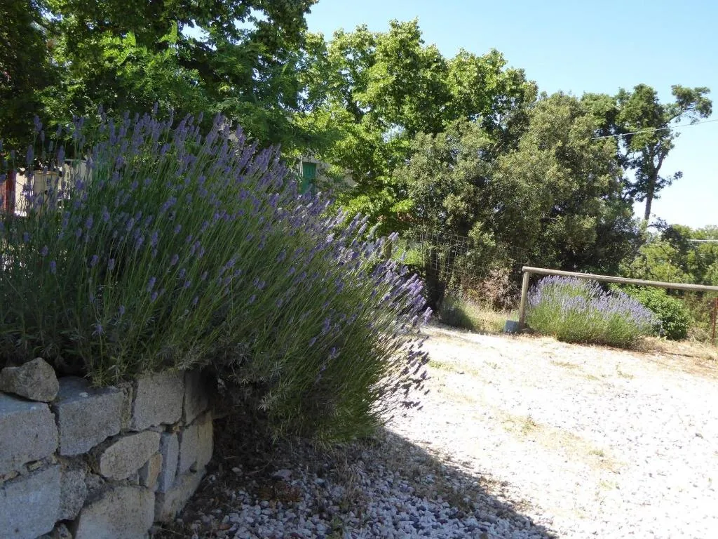 General view, Casa Solotti, Olbia