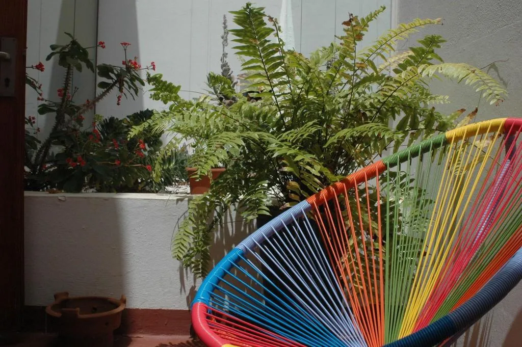 Terrace, La Casita, Fuerteventura