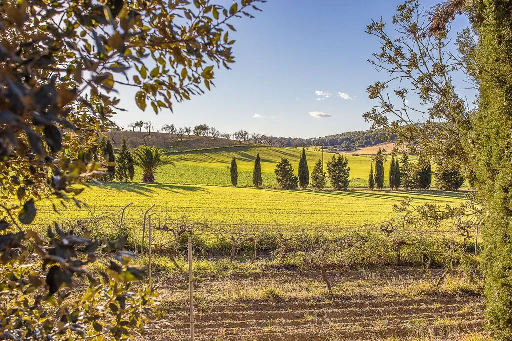 General view, Son Foguero Agroturismo, Majorca