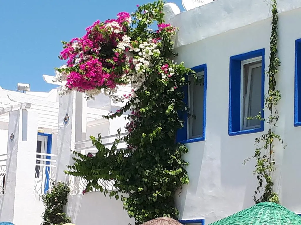 General view, Paradise Apart Hotel, Bodrum