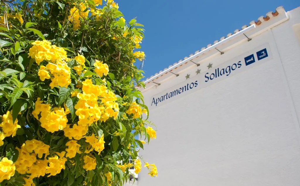 General view, Sollagos Studios, Algarve