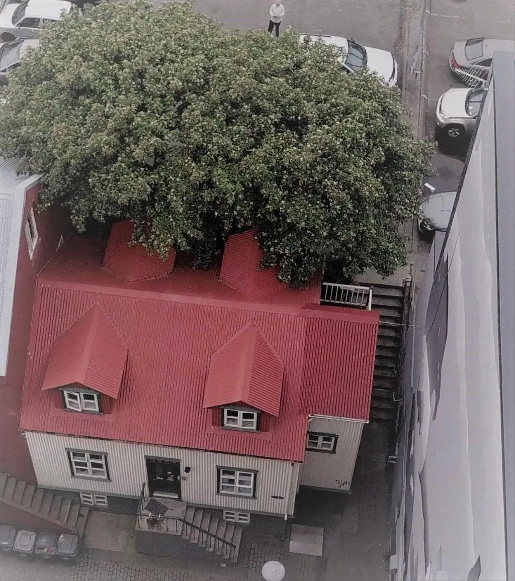 General view, Grettir Guesthouse, Reykjavik