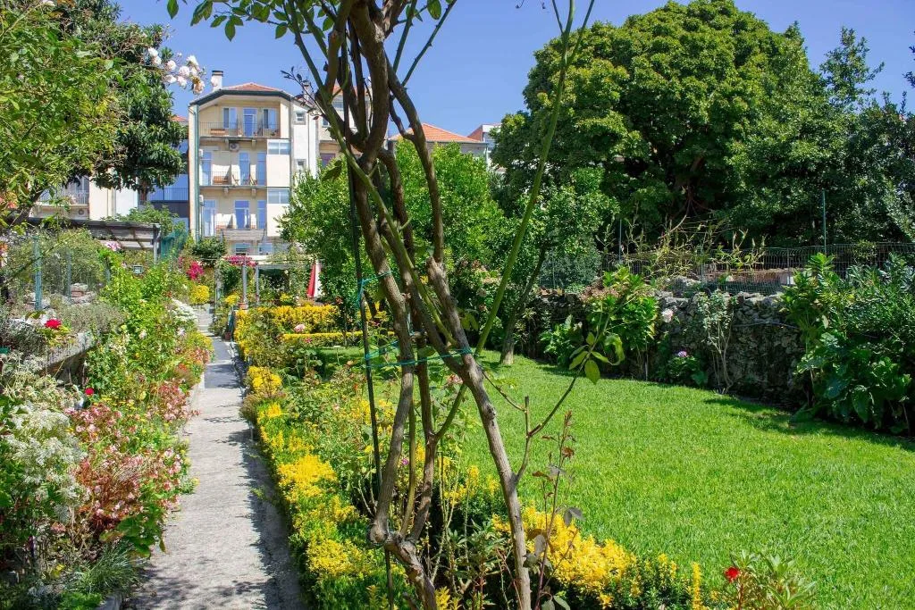 Terrace, Estoril Porto, Porto