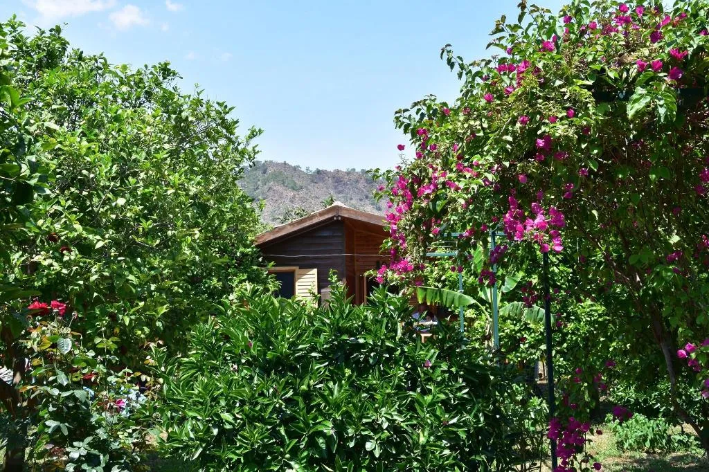 General view, Lemon Garden Lodge, Antalya