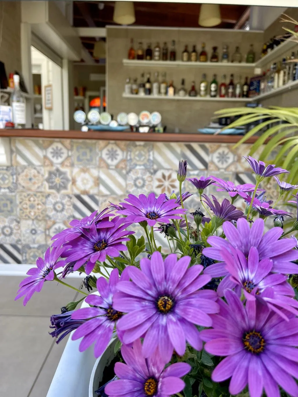 Bar, Residence Villa Giardini, Taormina